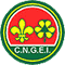 CNGEI